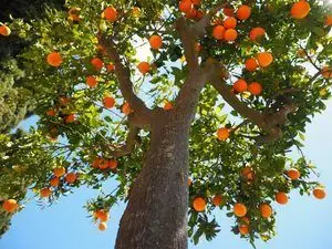 Un buen hábito termina dando sus frutos