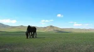 Cuento chino del viejo y el caballo